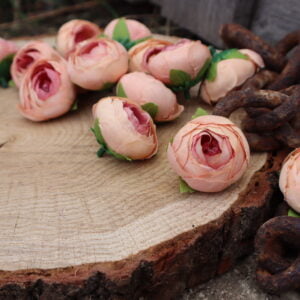 Ranunculus marhuľková - Image 1