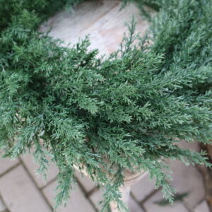 Tujkový veniec - Image 3