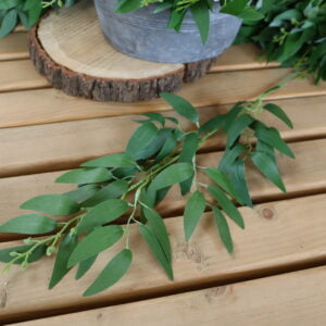 Ruscus, zelená - Image 1